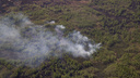 Как лесные пожары в Новосибирской области ищут с высоты — НГС вылетел на маршрут с Авиалесоохраной