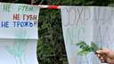 «Мы не согласны». Ростовские активисты потребовали защитить рощу СКА от строительства
