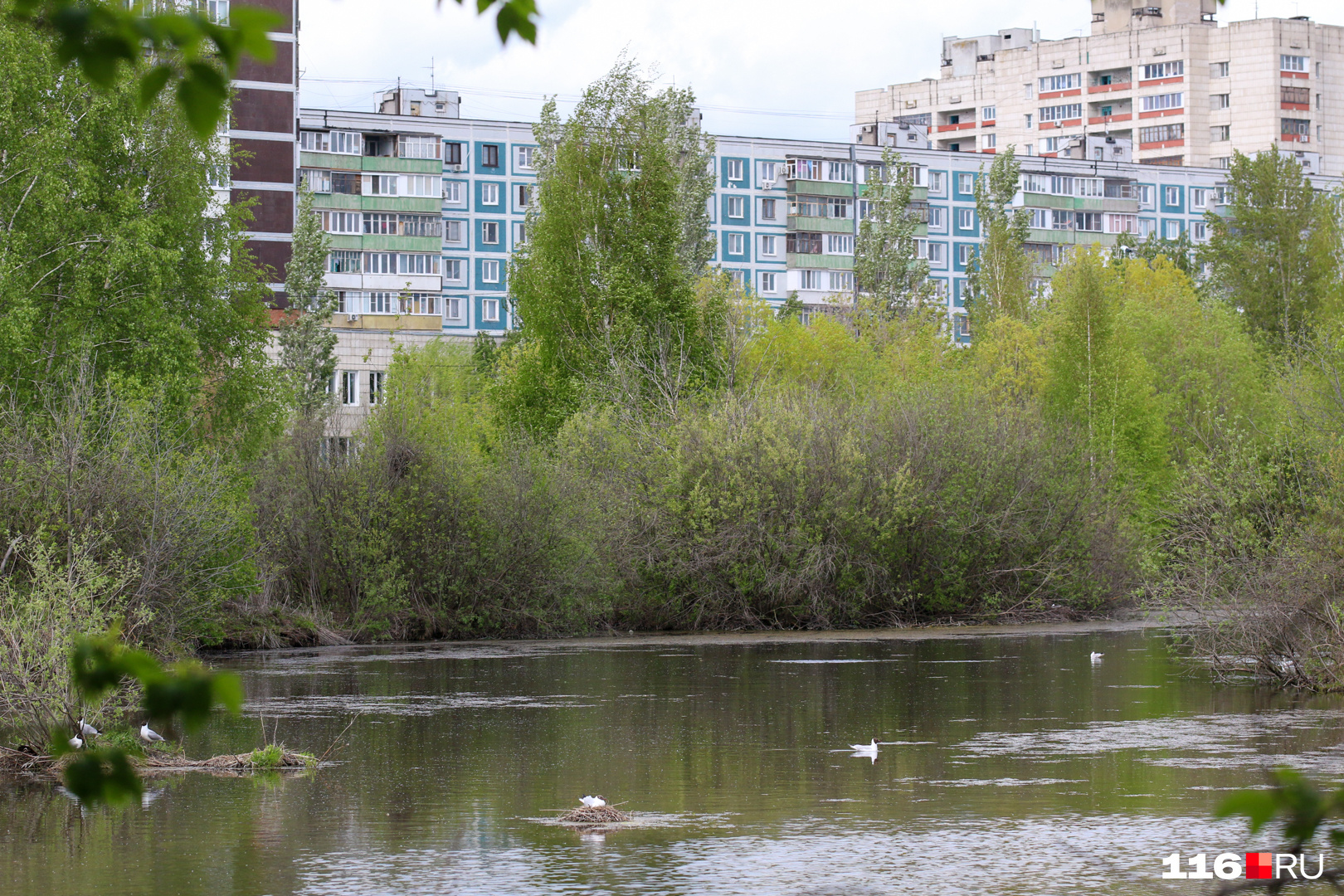 озеро в парке победы омск