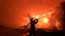 Десятки телят погибли при пожаре в коровнике Красноярского края. Фото и видео