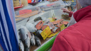 Рыба на Маргаритинской ярмарке: как правильно выбрать свежую и вкусную и не переплатить