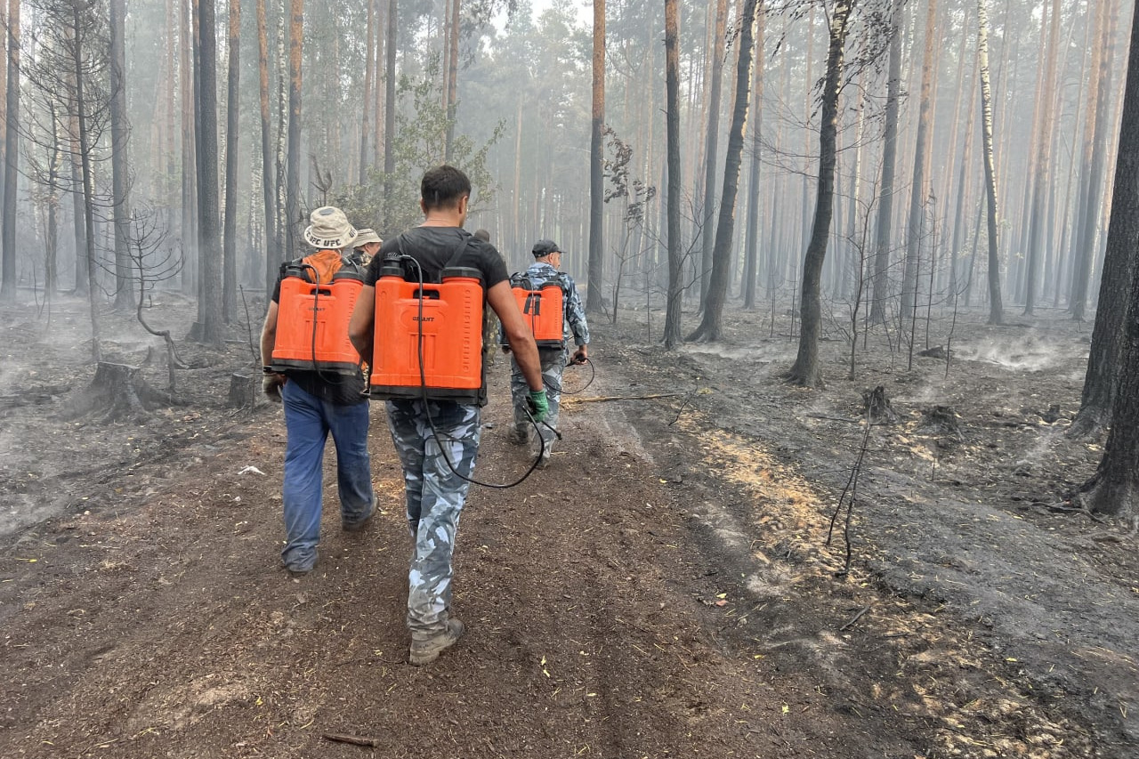 Мебельная фабрика в талицах