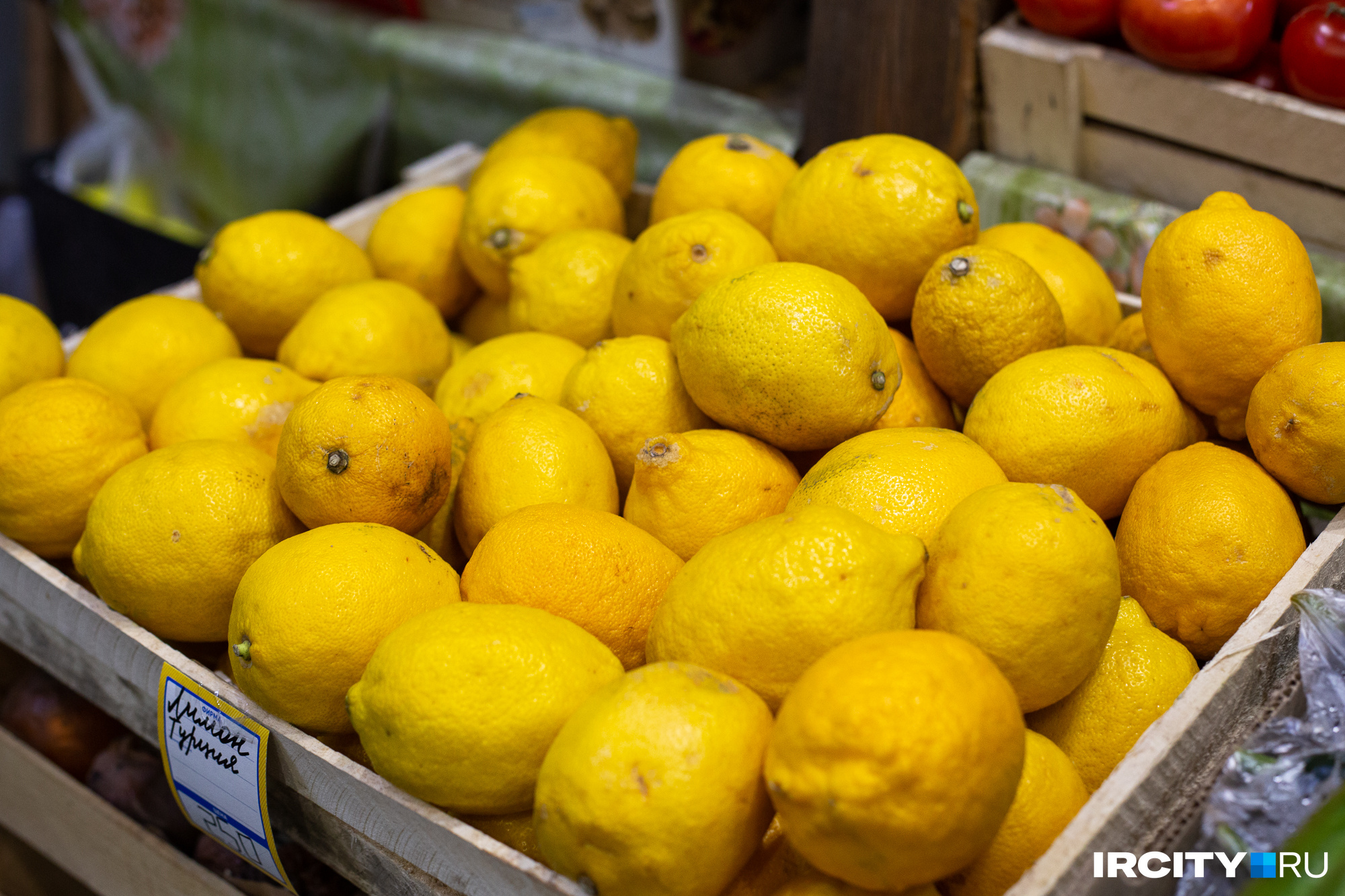 Выращивание лимона в домашних условиях и размножение его черенками