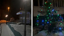 Архангелогородцы много лет украшают свой дом гирляндами к Новому году: посмотрите видео из их двора