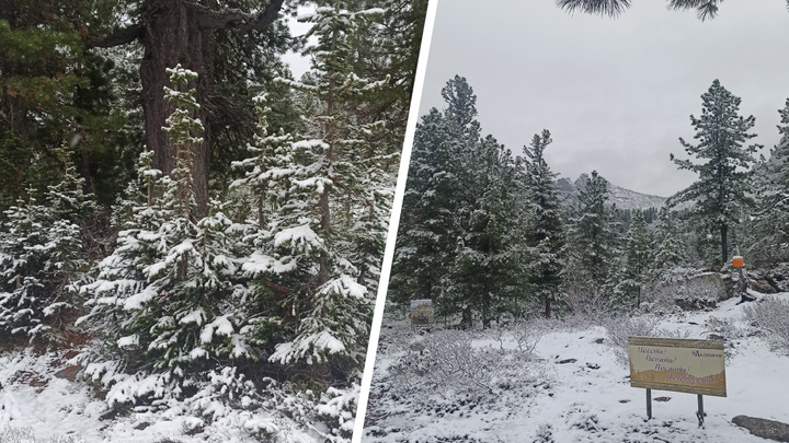 Зимняя сказка: в начале июня в Ергаках выпал снег