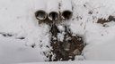 Третий день Зерноград бедствует от перебоев с подачей воды