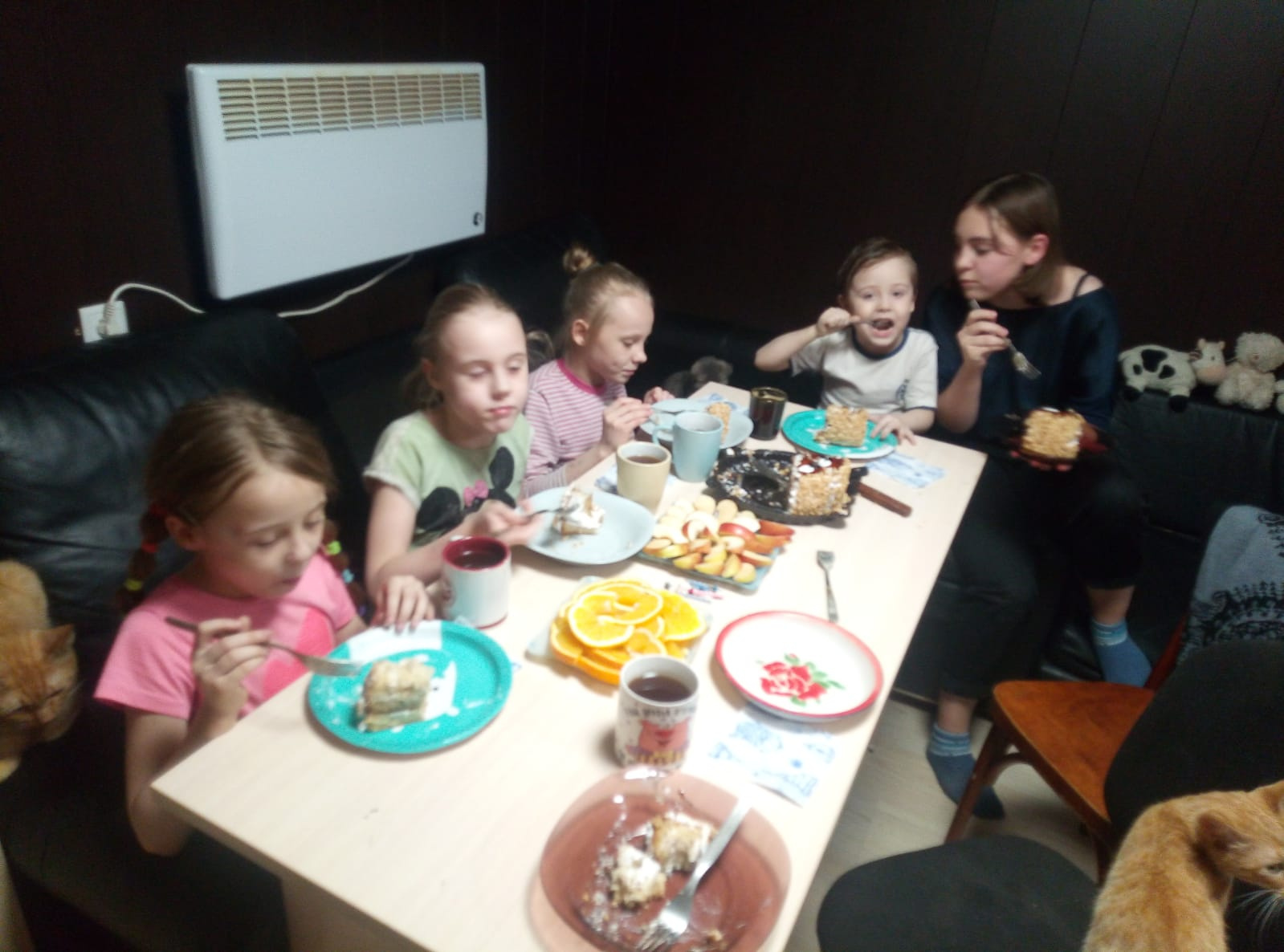 Семья переехала в Новосибирск из Алтайского края