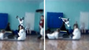 В Архангельске школьник упал вместе со штангой на уроке физкультуры
