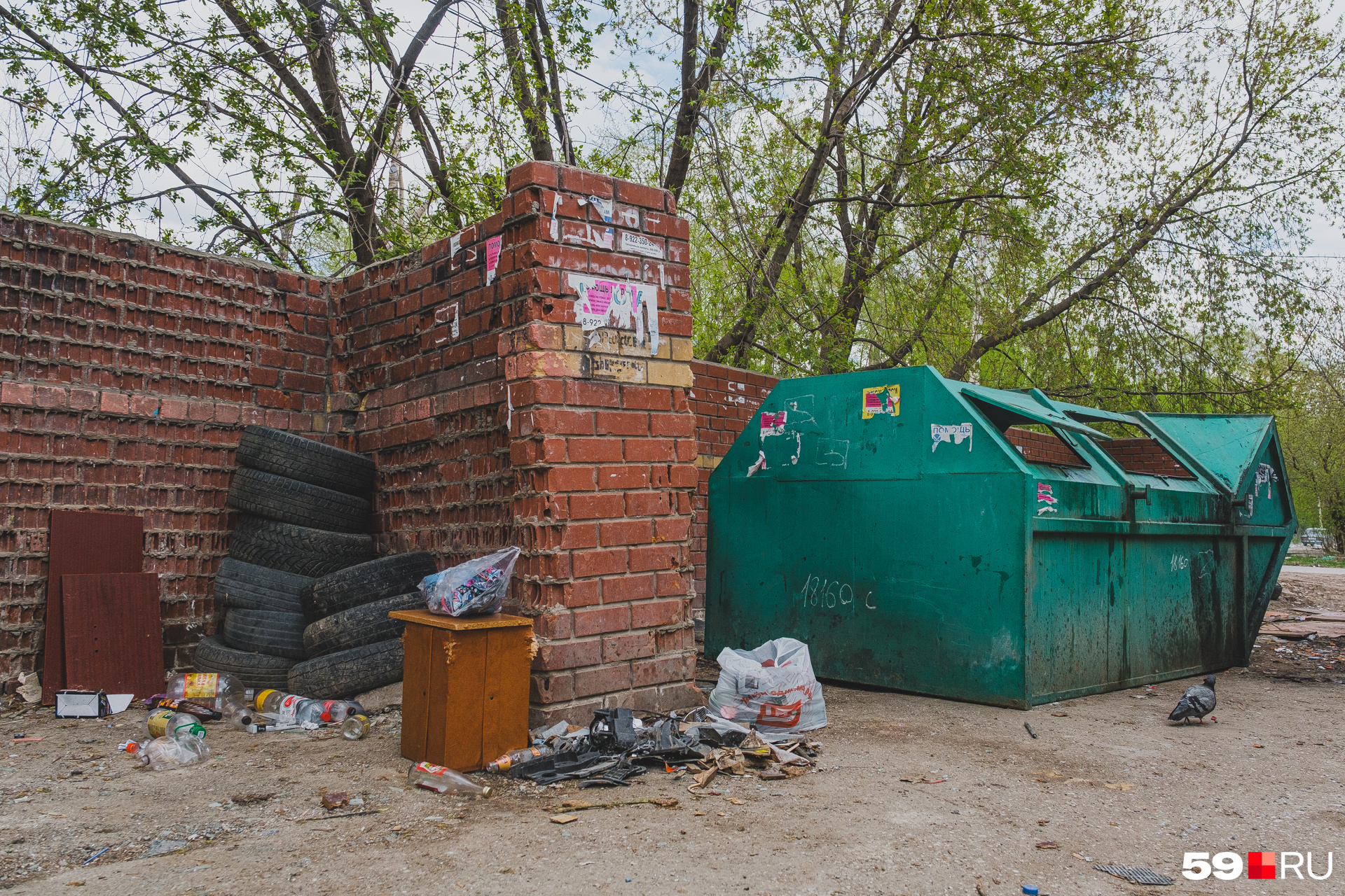 Контейнер для мусора на улице Сергинской, 7 — тоже в квартале от дома, где растет свалка