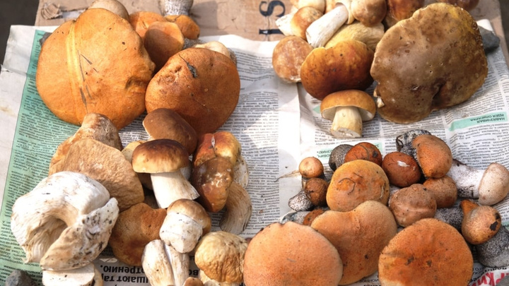 Что делать с грибами, если надоела жареха: 6 вкусных рецептов от екатеринбургских шеф-поваров