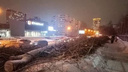 «Это незаконная абсолютно вырубка»: из-за уничтоженных деревьев на Кропоткина началось расследование