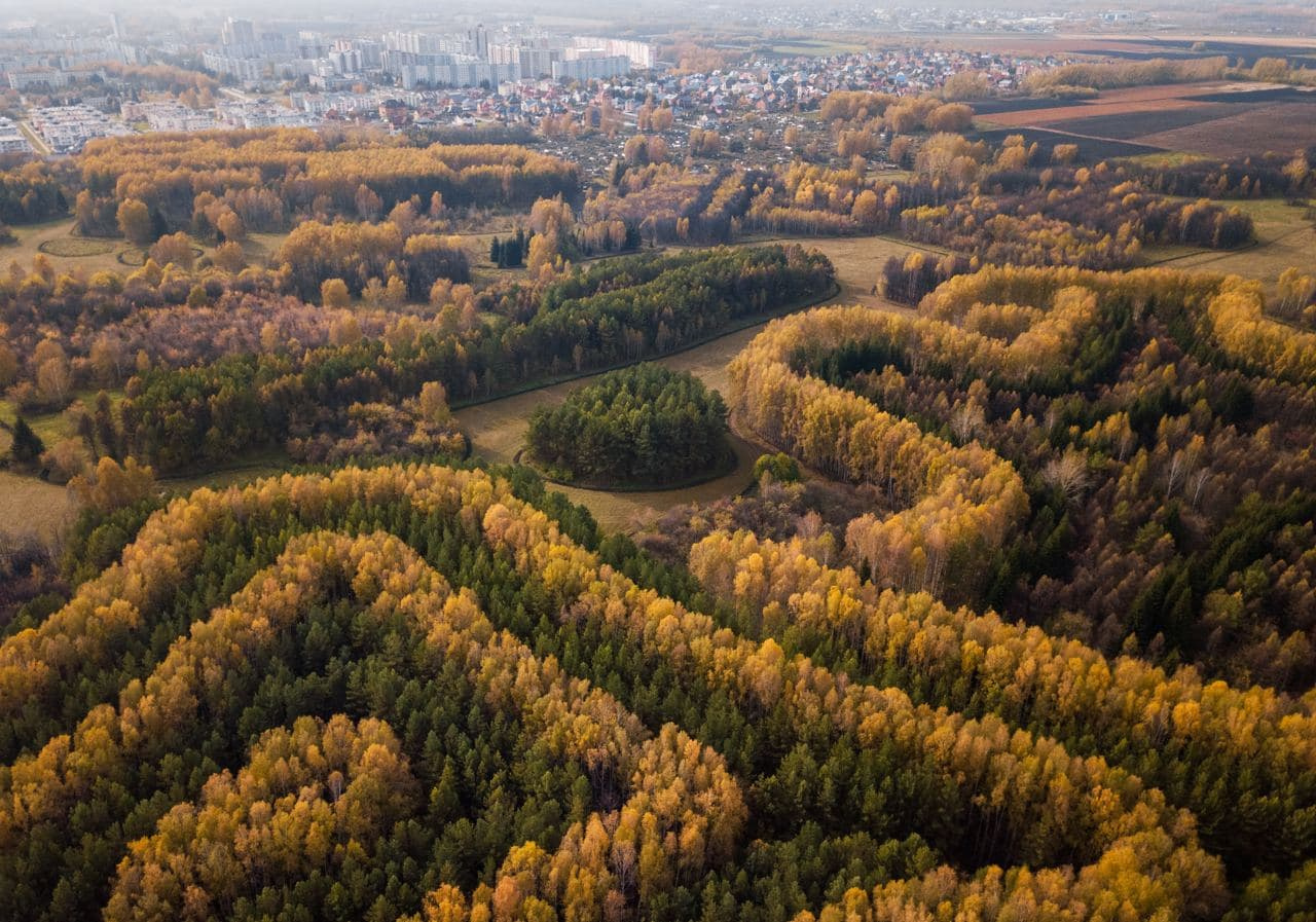 Дендропарк в новосибирске фото