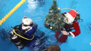 В Новосибирске поставили елку на дно бассейна — видео, на котором под водой открывают шампанское