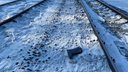 Шел в колее пути: мужчина погиб под колесами поезда под Новосибирском