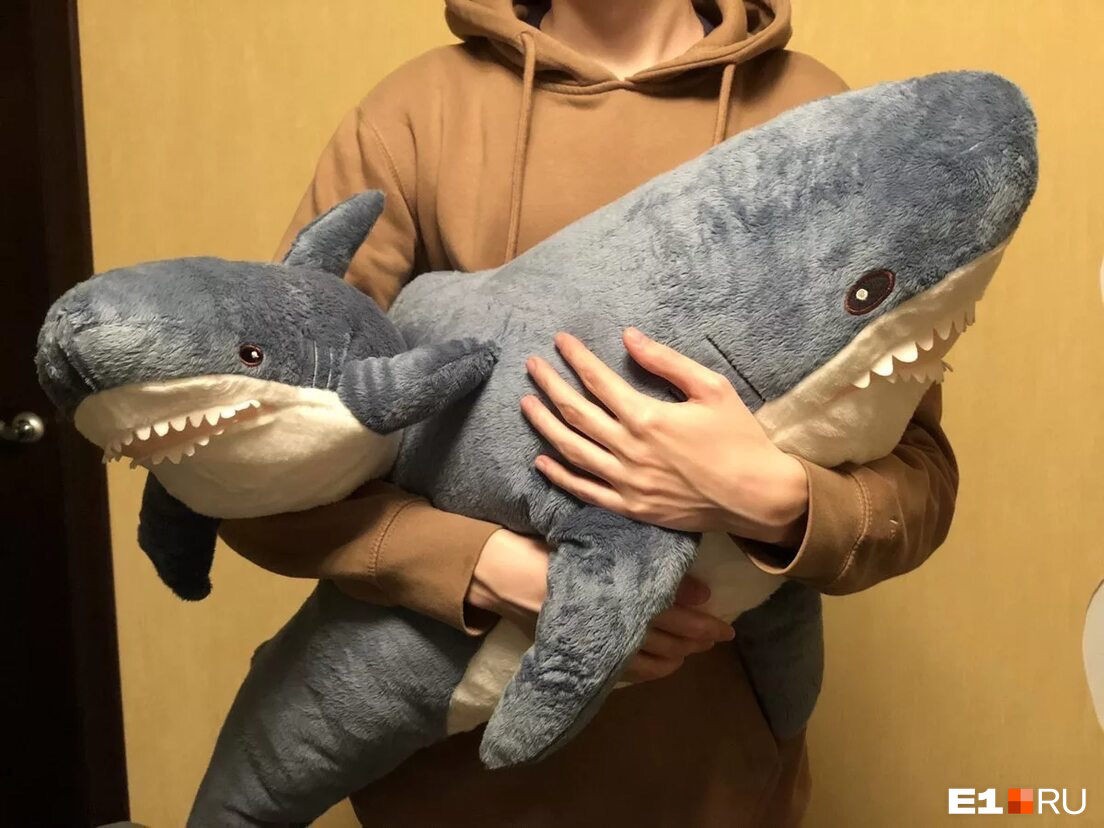 Акулы «Блохэй» в руках у своей хозяйки