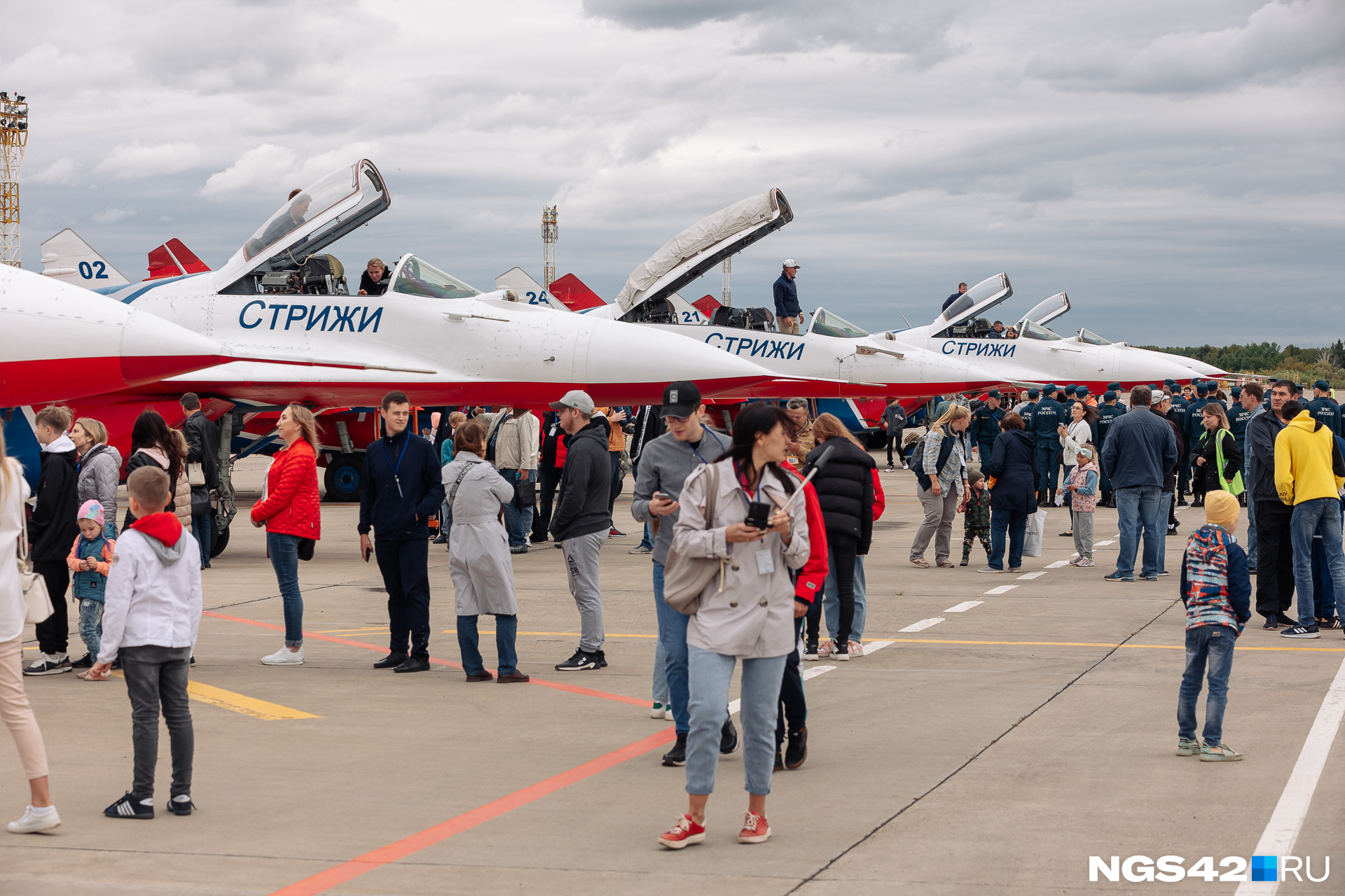 Где будут стрижи в кемерово