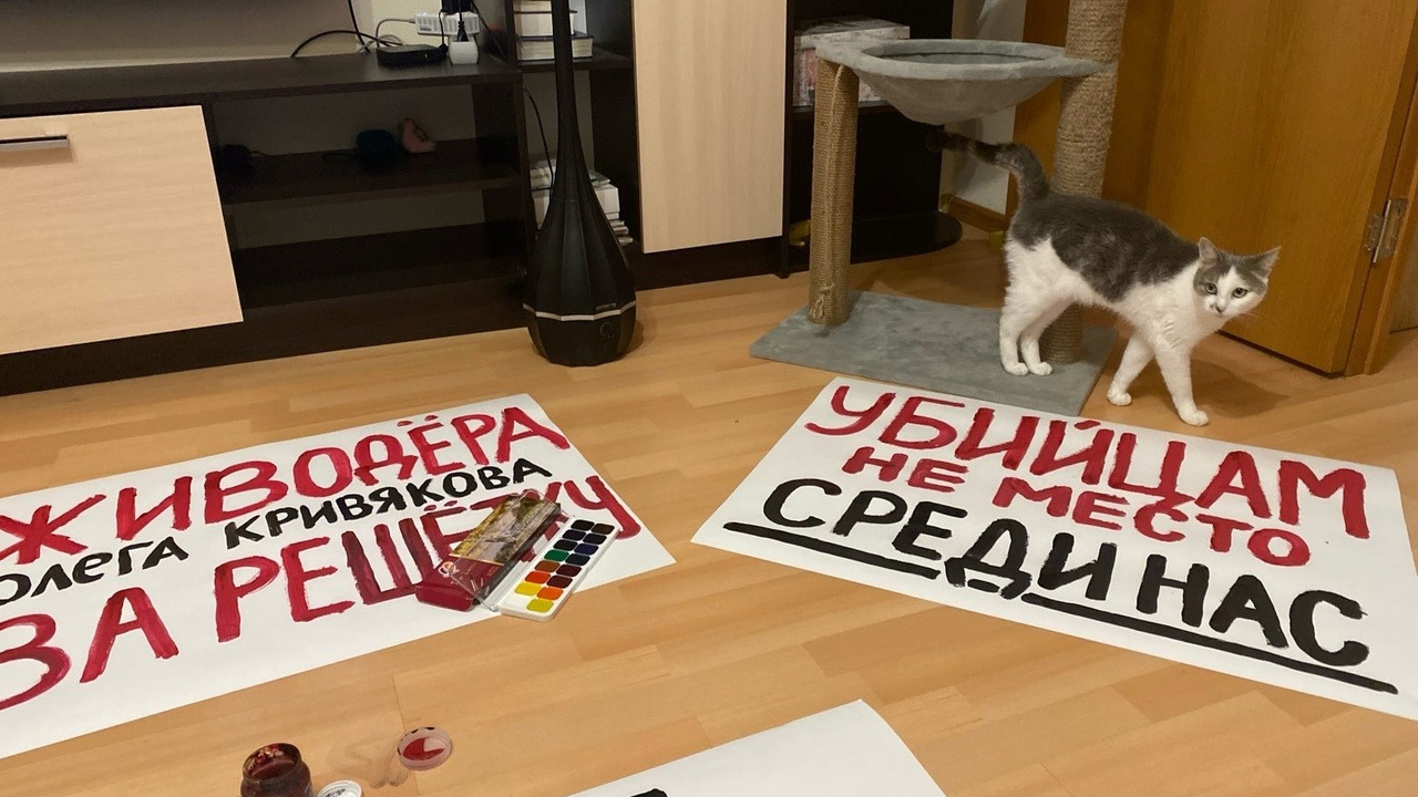 Суд черемушки. Партия кошка муж. Выставка бездомных кошек в Москве 2022.