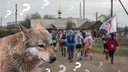 «А был ли он вообще?»: всё, что известно про нападение волка на нижегородского марафонца. Этого участника раньше уже кусала змея