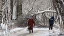 Режим ЧС введен в Нижегородской области из-за последствий ледяного дождя
