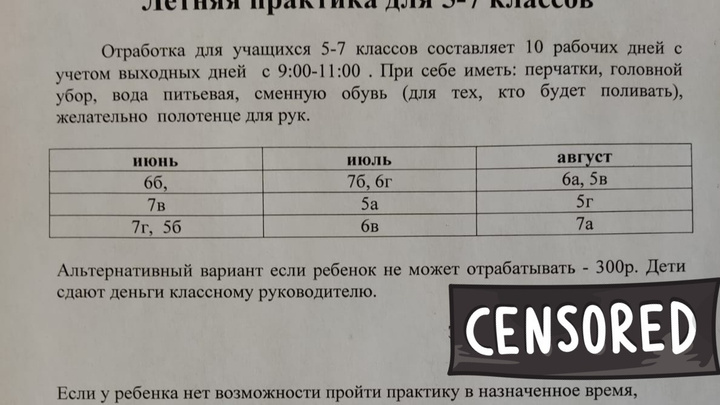 «Не может — платите»: в школе Ярославля детей отправляют на летние отработки