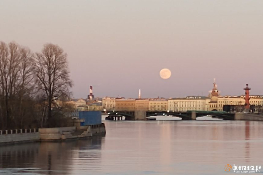 Где луна в санкт петербурге. Луна в Санкт-Петербурге. Луна в Питере. Розовый Петербург. Большая Луна в Питере.