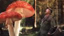 «Достаточно 400 граммов, чтобы умереть»: быстрый тест — сможете ли вы отличить весенние съедобные грибы от ядовитых