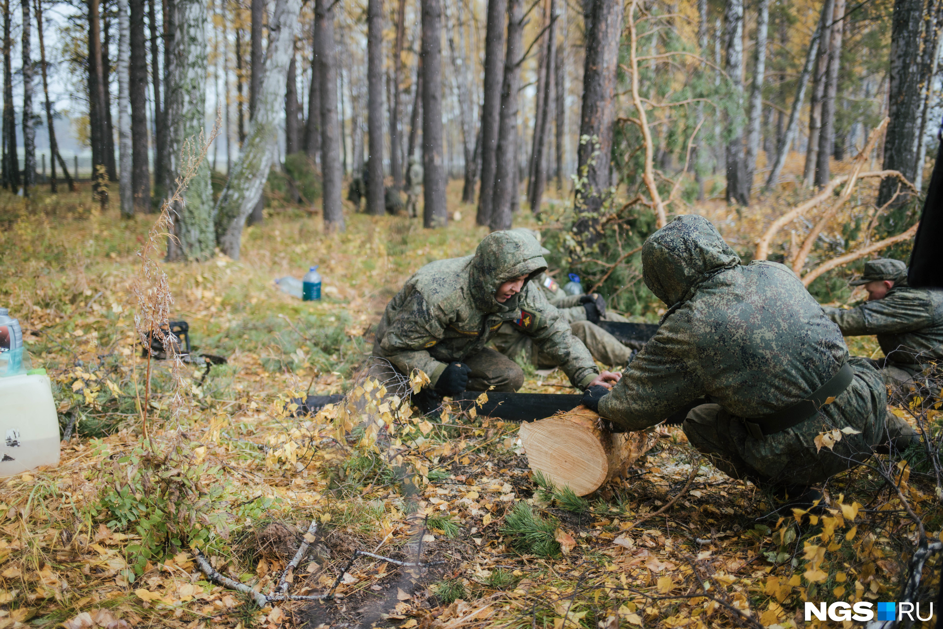 Чтобы обеспечить мобилизованных дровами, солдаты-срочники рубят лес прямо у забора училища