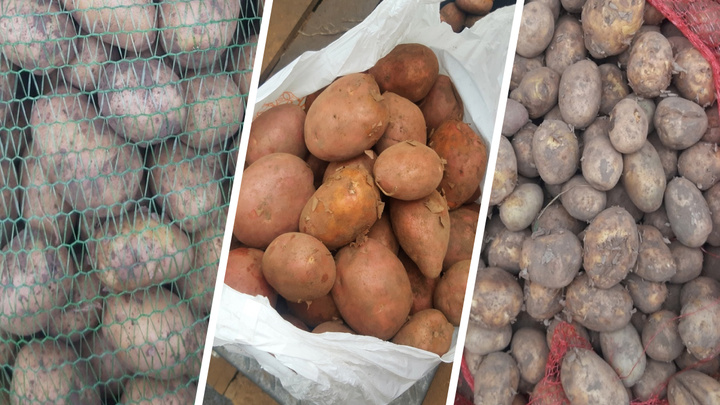Ищем самую дешевую картошку: какие цены на Маргаритинке у «Норд Экспо»