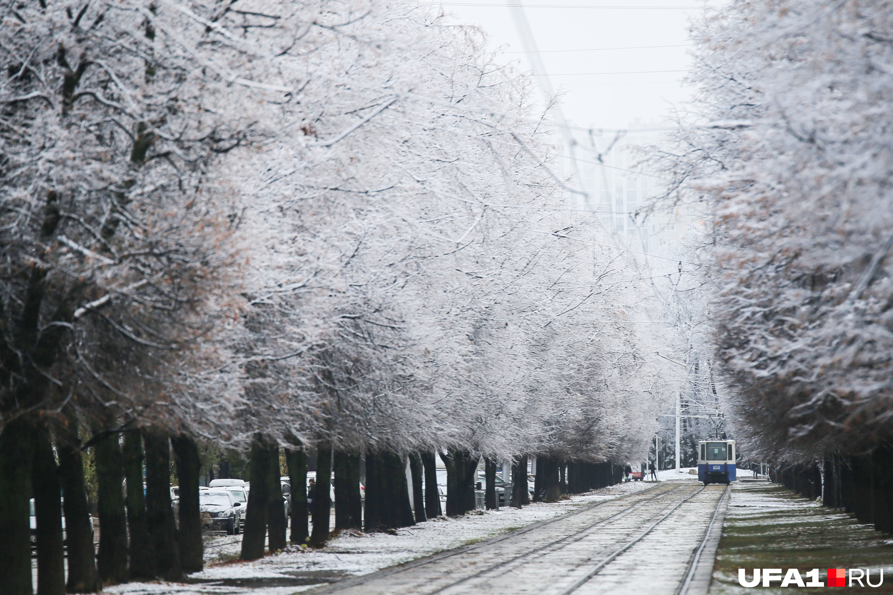 Какое будет лето в башкирии 2024 года. Заснеженная Уфа. Снег в Уфе. Уфа зима. Зима ноябрь.
