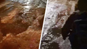 «Текут фекалии из канализации»: самарцы пожаловались на вонючие реки