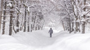 В Самарской области выпало рекордное количество снега