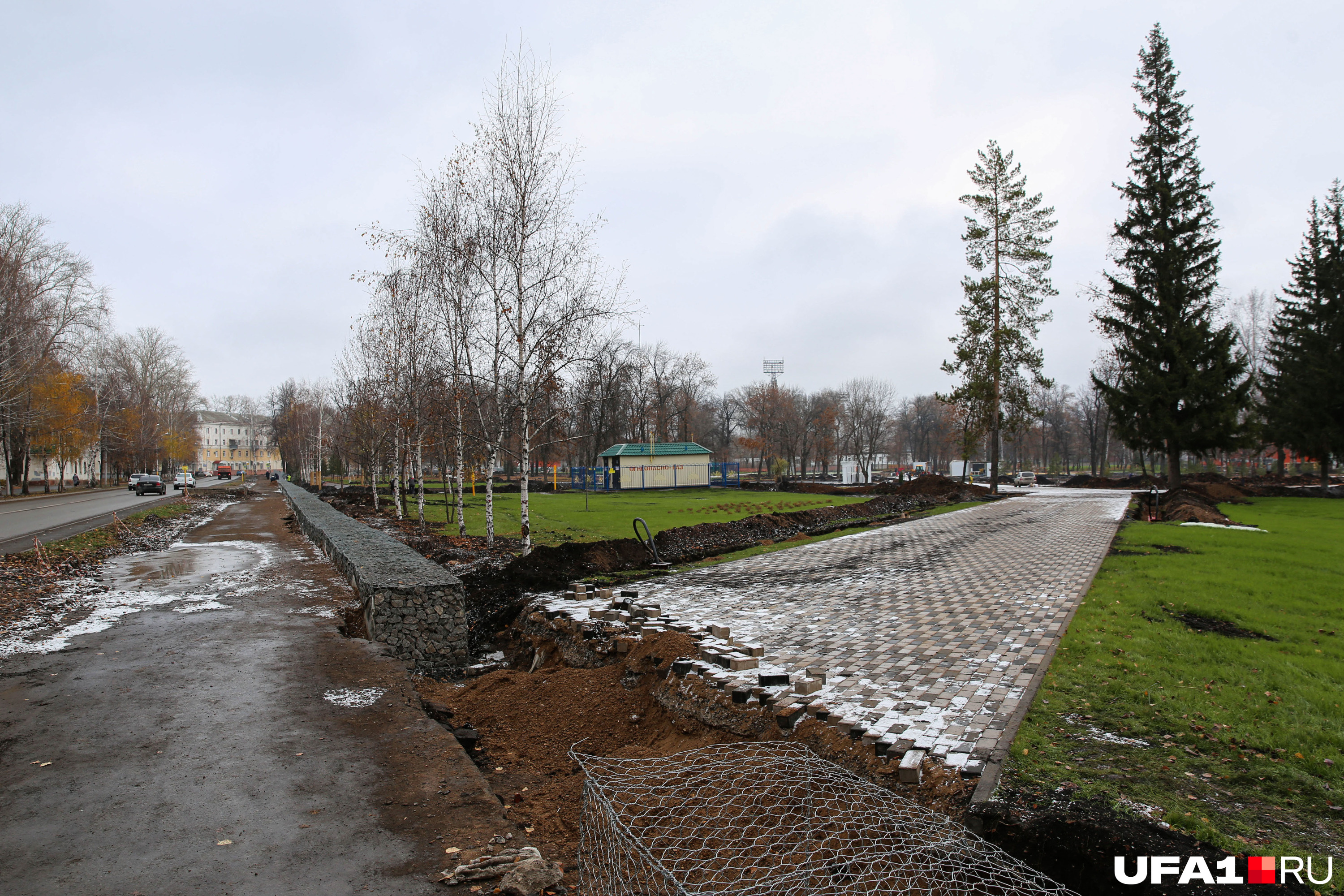 Вместо старых деревьев будут крупномеры