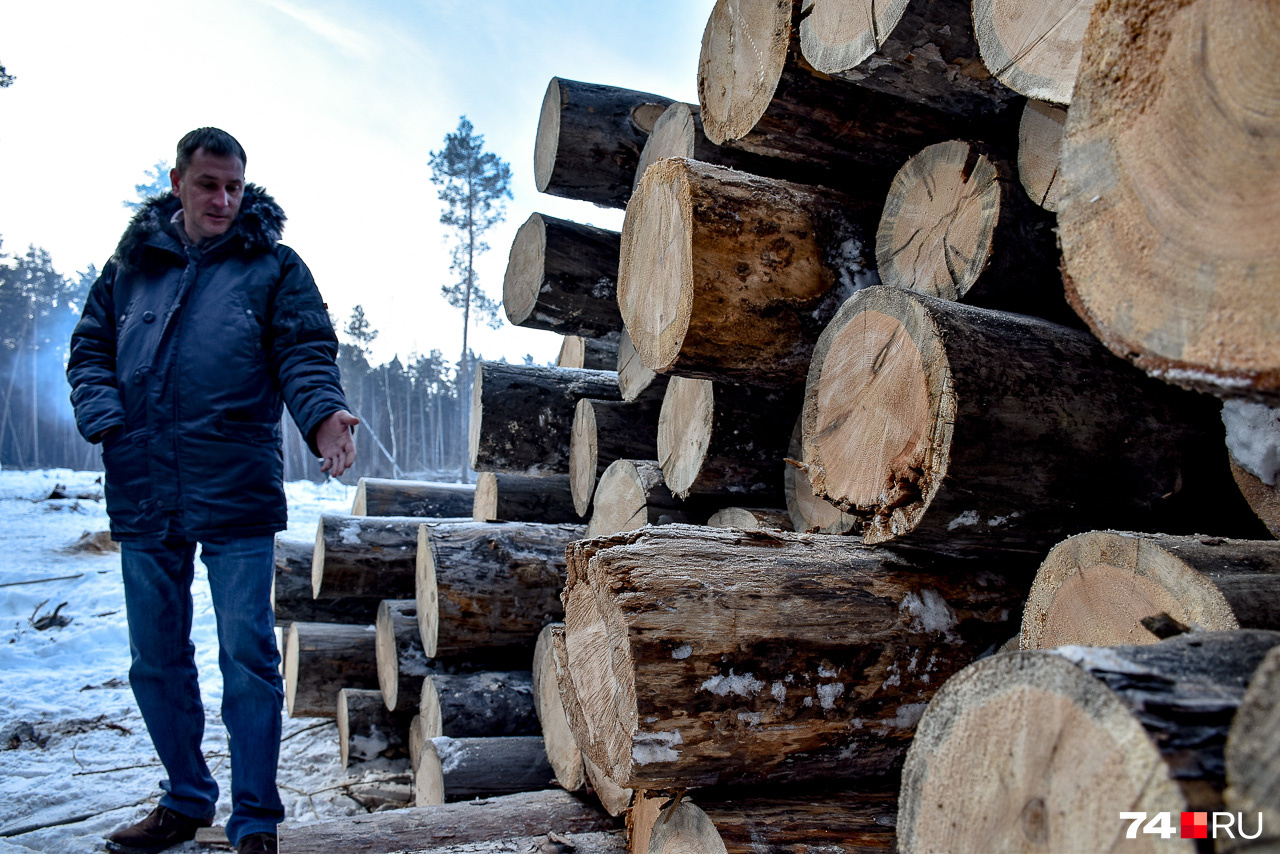 Специалист ФБУ «Рослесзащита» Сергей Угланов демонстрирует признаки умерших деревьев: отсутствие коры, следы гнилости, повреждения вредителями