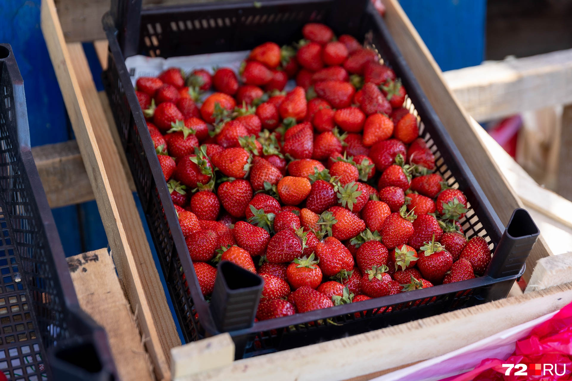 Покупать ли сейчас фрукты и ягоды — дело ваше. Другой вопрос, что нужно хорошо их мыть перед употреблением. А лучше ошпарить кипятком для надежности