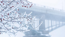 Мороз на День святого Валентина: какая погода ждет новосибирцев в предпоследнюю неделю зимы