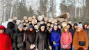 Как в Новосибирске вырубили 900 деревьев под застройку — рассказываем в одном видео