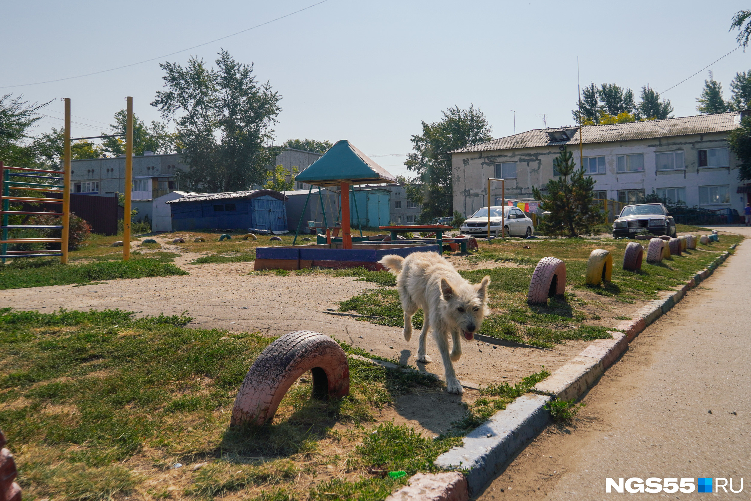 На детской площадке пес гулял в одиночестве