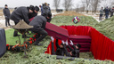 Почетный караул и салют: под Волгоградом с почестями похоронили павших в Великую Отечественную советских воинов