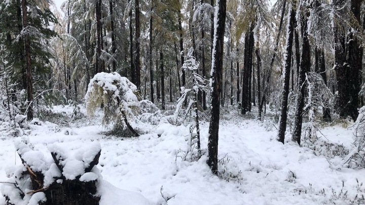 Сильный снег выпал в Забайкалье