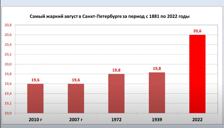 Синоптик колесов фото