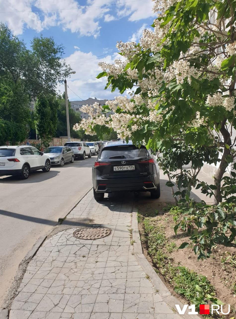 Чтобы все видели высокий статус