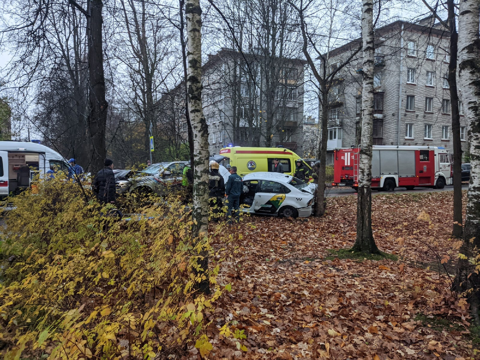 BMW выкинул такси с дороги в дерево на Костромском проспекте, а сам встал на тротуаре