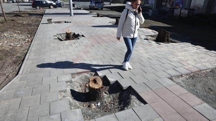 «Спите спокойно, всё под контролем»: в центре Челябинска спилили липы возле «ямы Тартаковского»