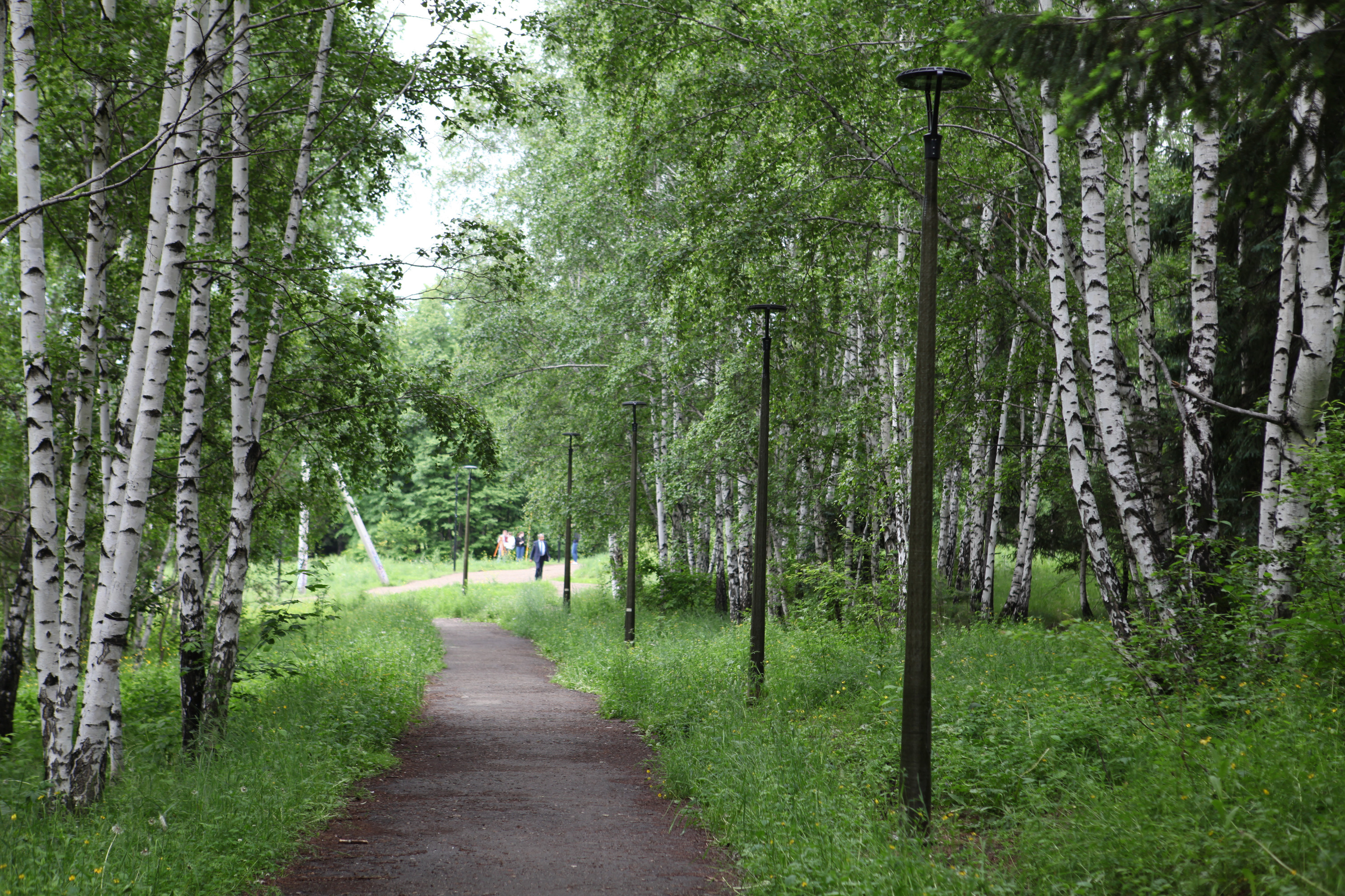 парк в академгородке