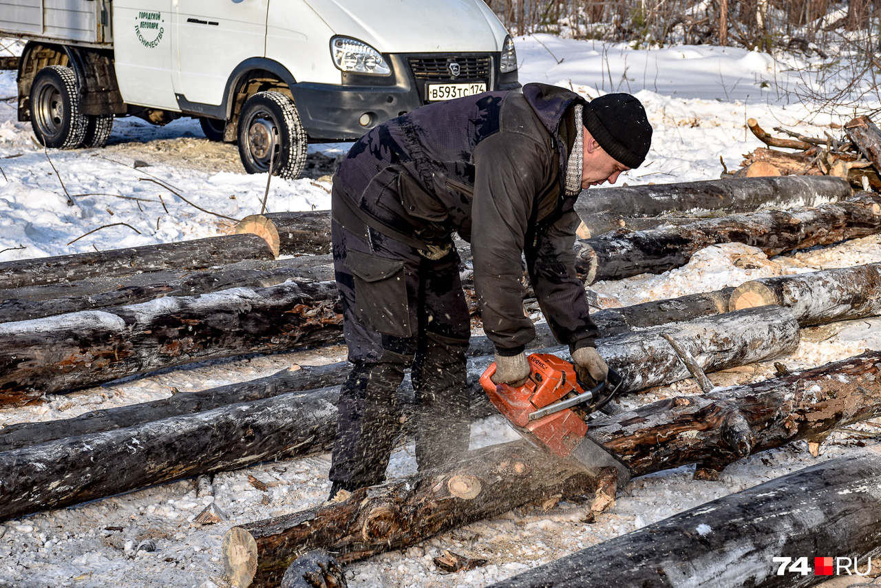 Сотрудник центра пожаротушения (относится к Главному управлению лесами Челябинской области) спиливает ветки