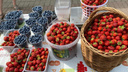 Малина за 3 тысячи рублей: сравниваем цены на ягоды в супермаркетах и на рынках Ярославля