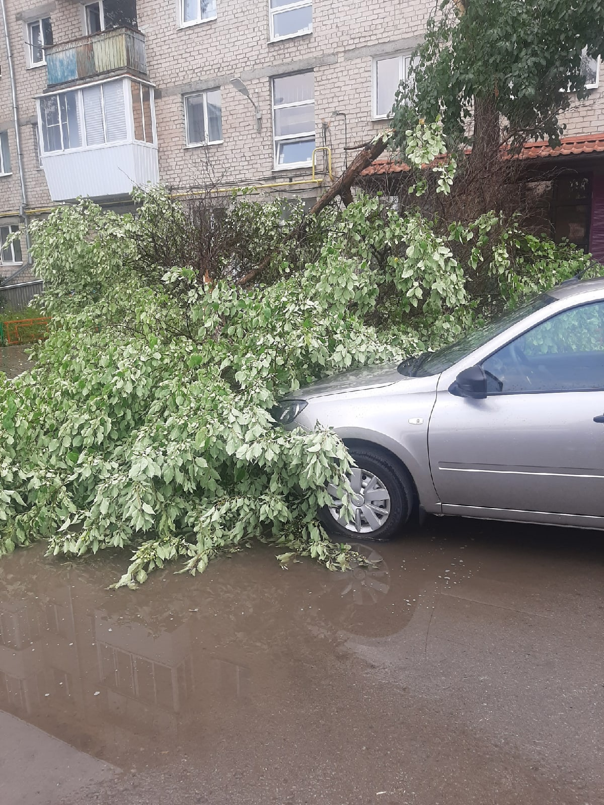 На проспекте Победы, 15 в Каменске-Уральском дерево рухнуло на припаркованную «Ладу»
