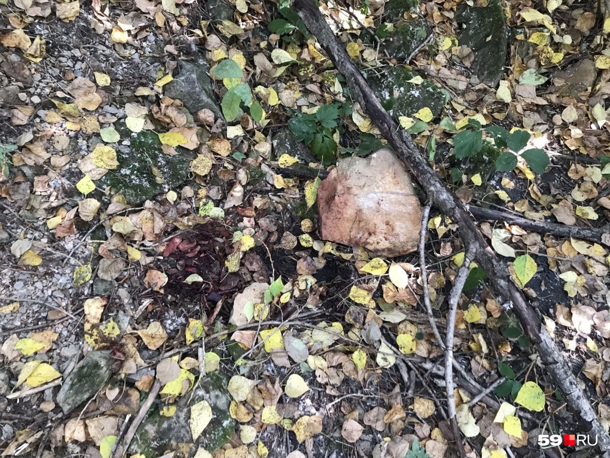 Рядом с телом девушки лежал камень, на котором видно следы крови