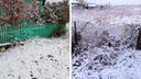 «Красиво, но холодно»: снег лег в нескольких районах Новосибирской области