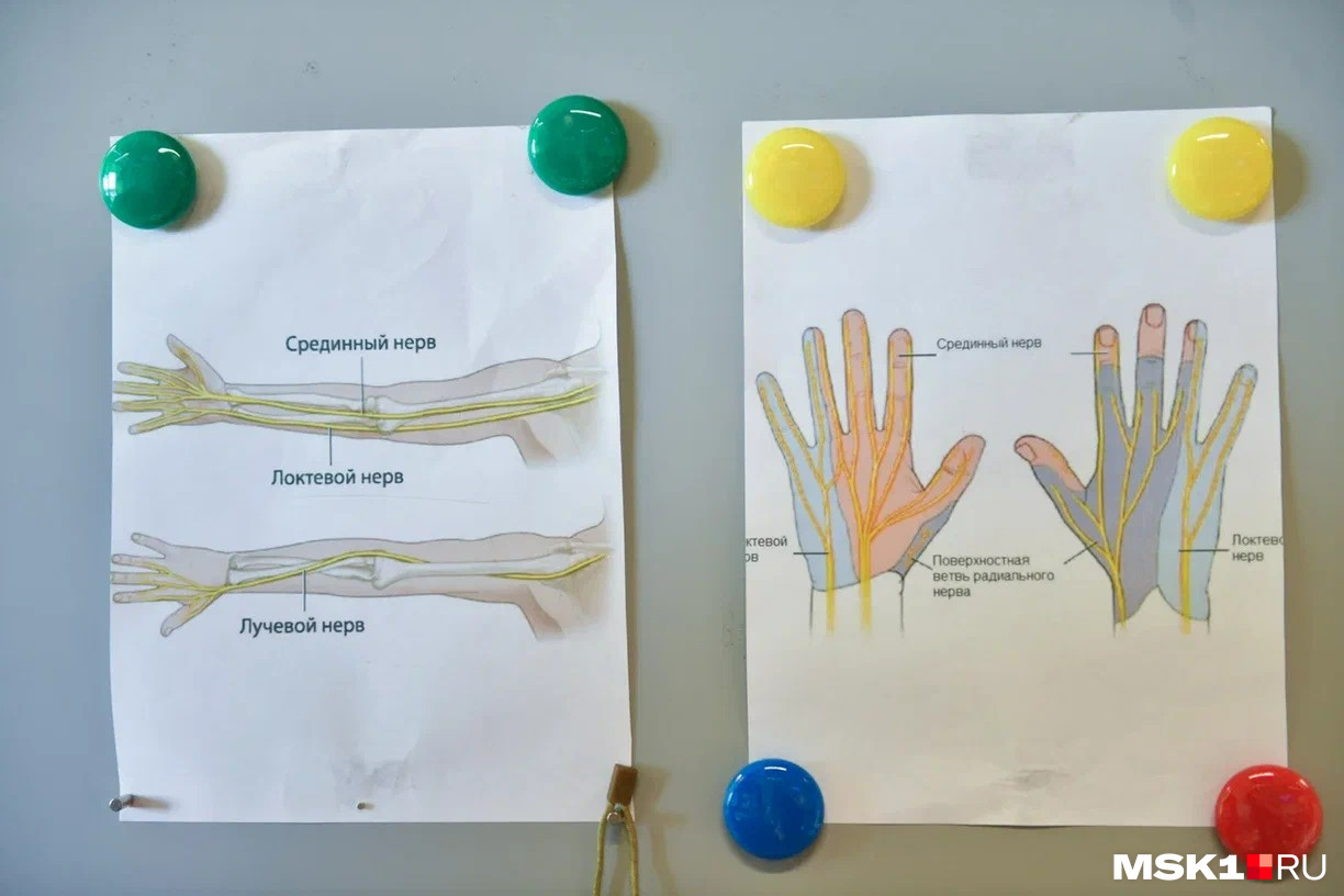 На картинках показано, за какие пальцы отвечают определенные нервы